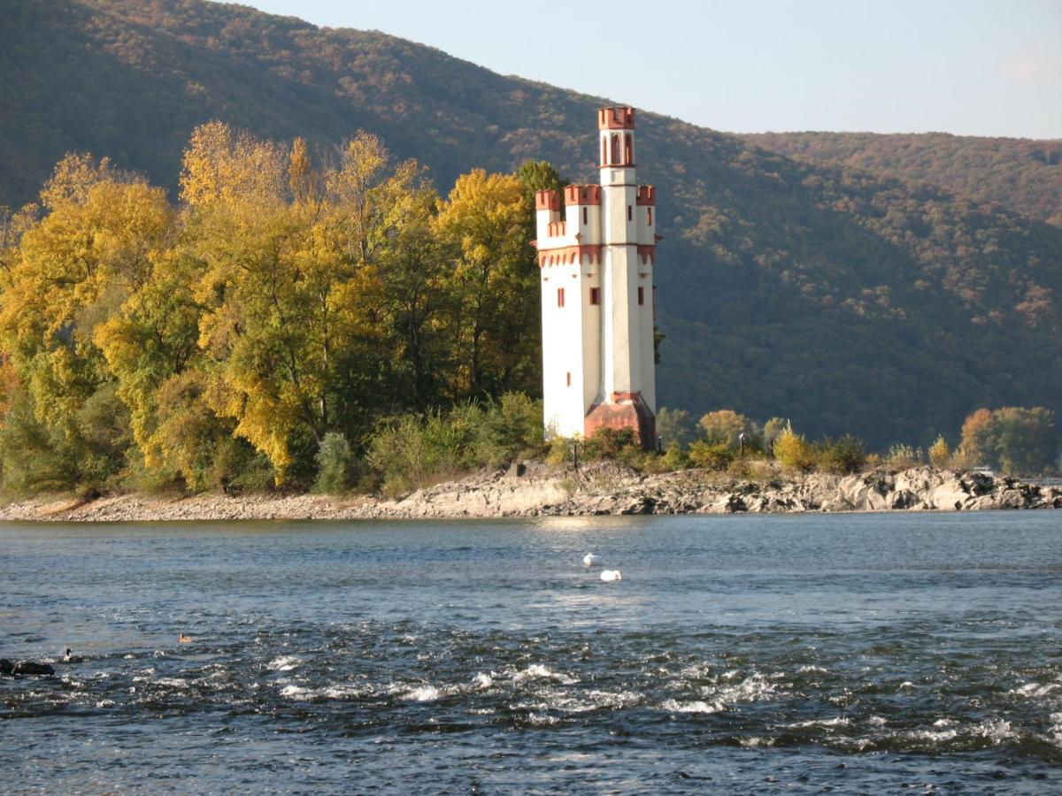 Helle Fewo, 60 Qm, Souterrain, Eigener Eingang, Rhein Und Nahe Bingen am Rhein Εξωτερικό φωτογραφία